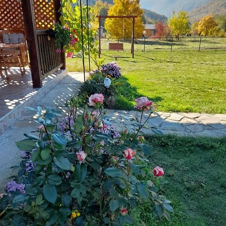Apartmani Petar Mokra Gora Exterior foto